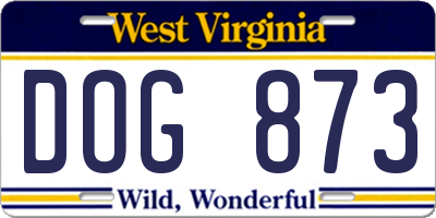 WV license plate DOG873