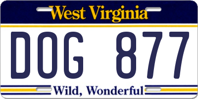 WV license plate DOG877