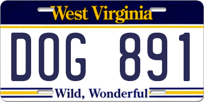 WV license plate DOG891
