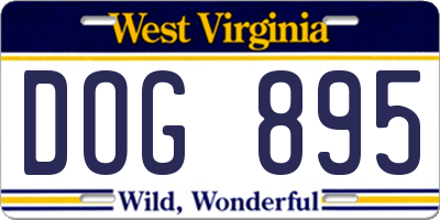 WV license plate DOG895