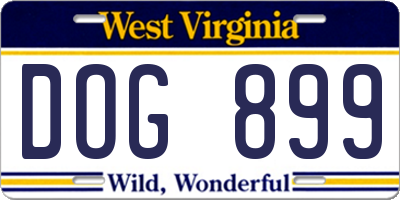 WV license plate DOG899