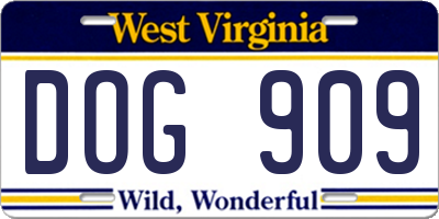 WV license plate DOG909
