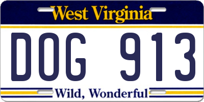 WV license plate DOG913