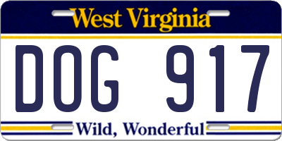 WV license plate DOG917