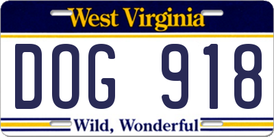 WV license plate DOG918