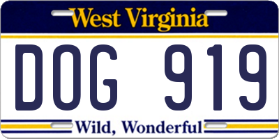 WV license plate DOG919