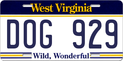 WV license plate DOG929