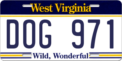 WV license plate DOG971