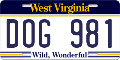 WV license plate DOG981