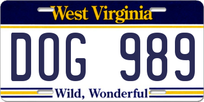 WV license plate DOG989