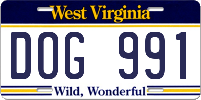 WV license plate DOG991