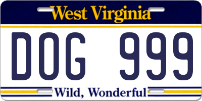 WV license plate DOG999