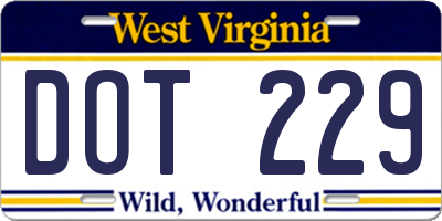 WV license plate DOT229