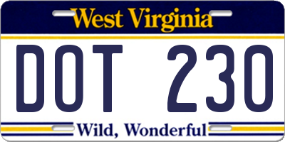 WV license plate DOT230