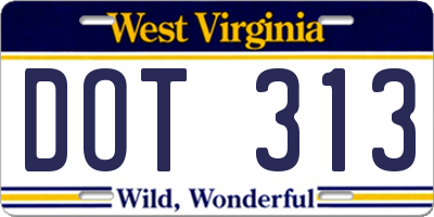 WV license plate DOT313