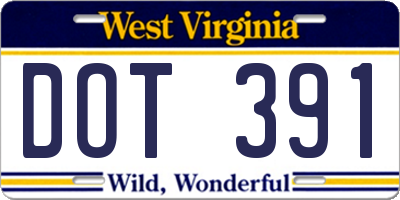 WV license plate DOT391