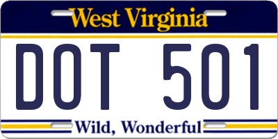 WV license plate DOT501