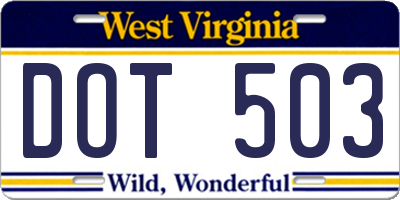 WV license plate DOT503