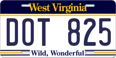 WV license plate DOT825
