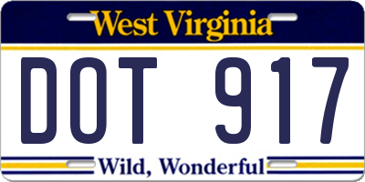 WV license plate DOT917