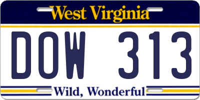 WV license plate DOW313