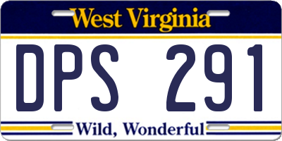 WV license plate DPS291