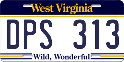 WV license plate DPS313