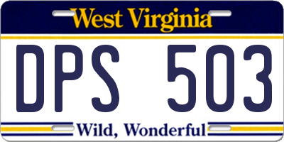 WV license plate DPS503