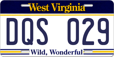 WV license plate DQS029