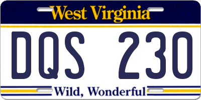 WV license plate DQS230