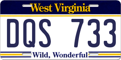 WV license plate DQS733