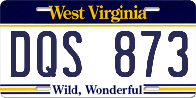 WV license plate DQS873