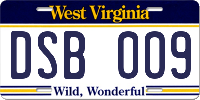 WV license plate DSB009