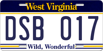 WV license plate DSB017
