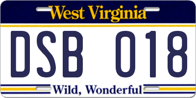 WV license plate DSB018