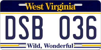 WV license plate DSB036