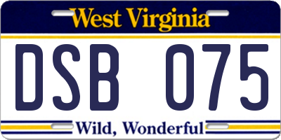 WV license plate DSB075