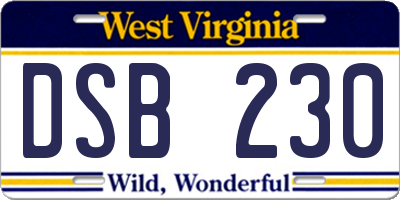 WV license plate DSB230