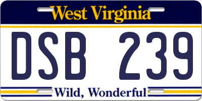 WV license plate DSB239