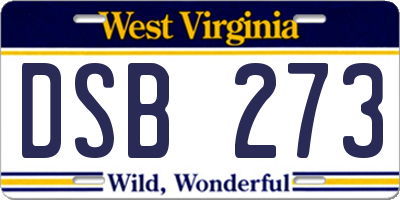 WV license plate DSB273