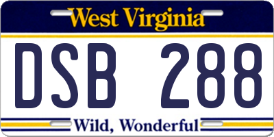 WV license plate DSB288