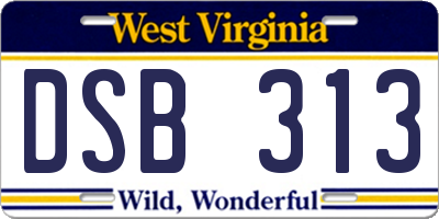 WV license plate DSB313