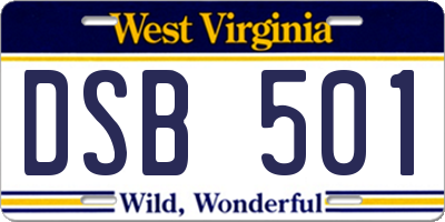 WV license plate DSB501