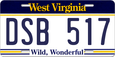 WV license plate DSB517