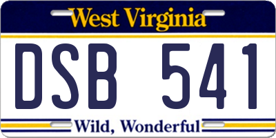 WV license plate DSB541