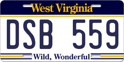 WV license plate DSB559