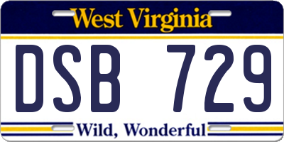 WV license plate DSB729