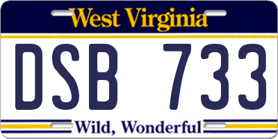 WV license plate DSB733