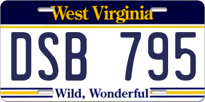 WV license plate DSB795