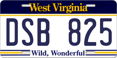 WV license plate DSB825